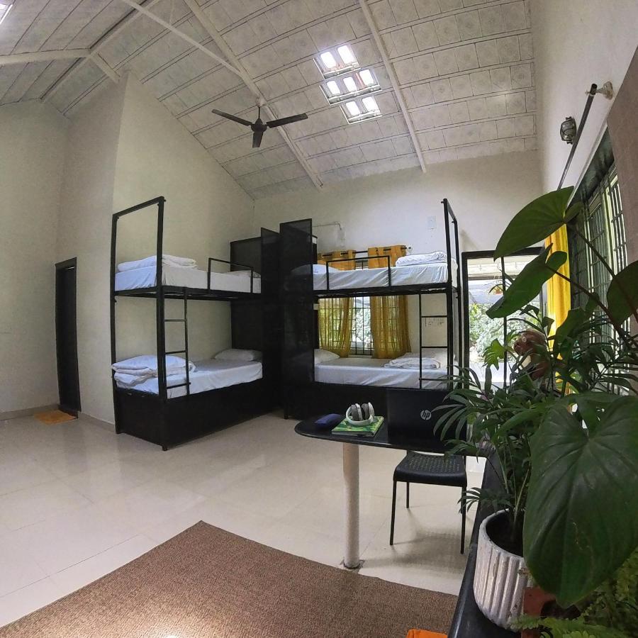 Benomadic Eco Hostel, Madikeri, Coorg Suntikoppa Kültér fotó