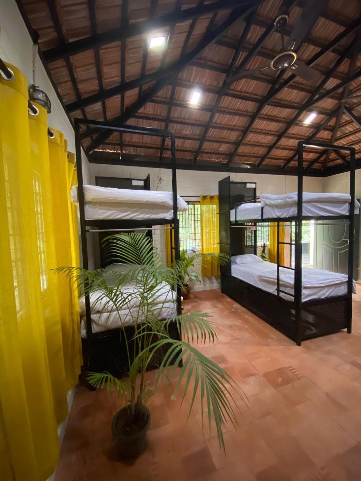 Benomadic Eco Hostel, Madikeri, Coorg Suntikoppa Kültér fotó