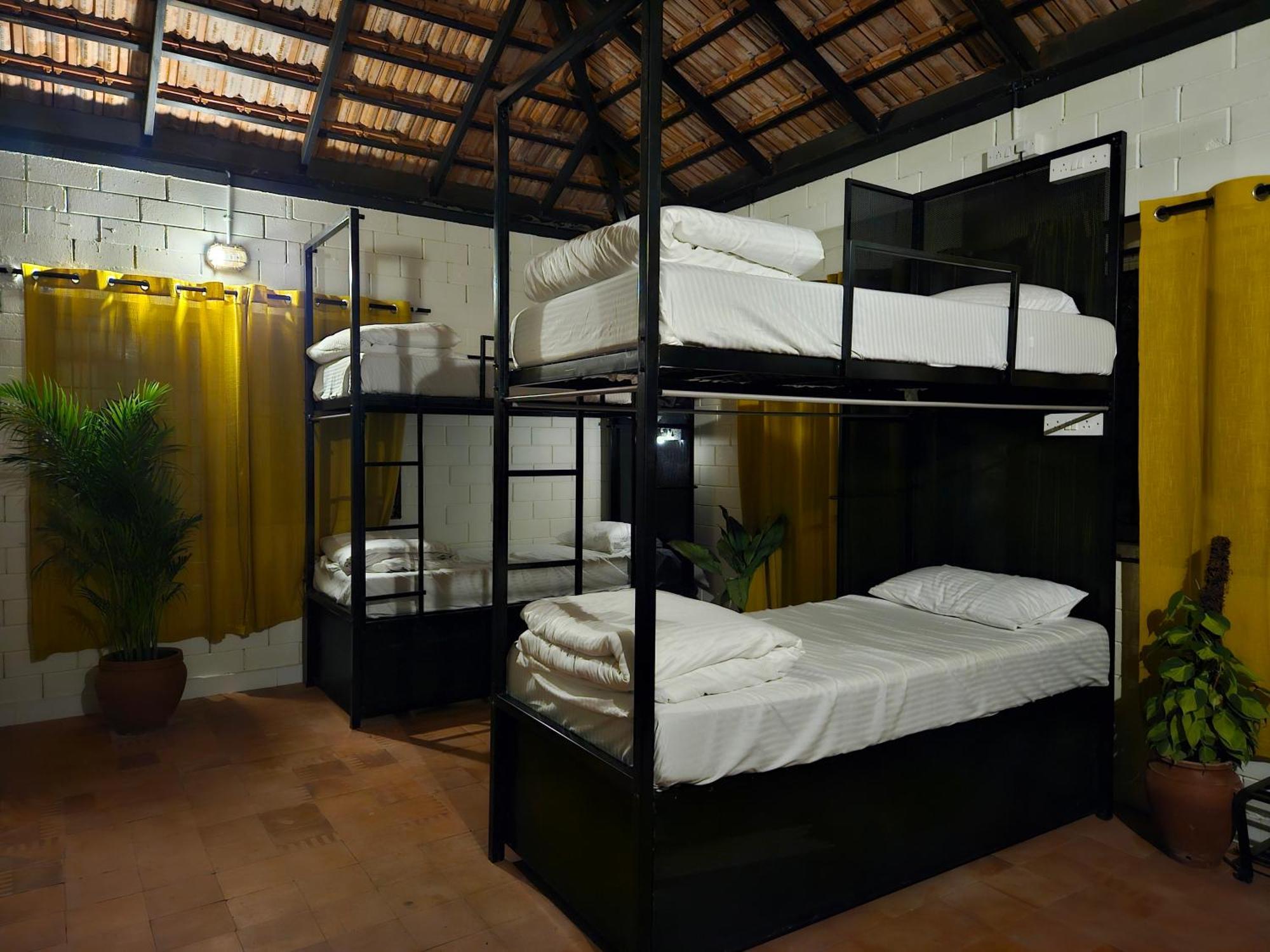 Benomadic Eco Hostel, Madikeri, Coorg Suntikoppa Kültér fotó