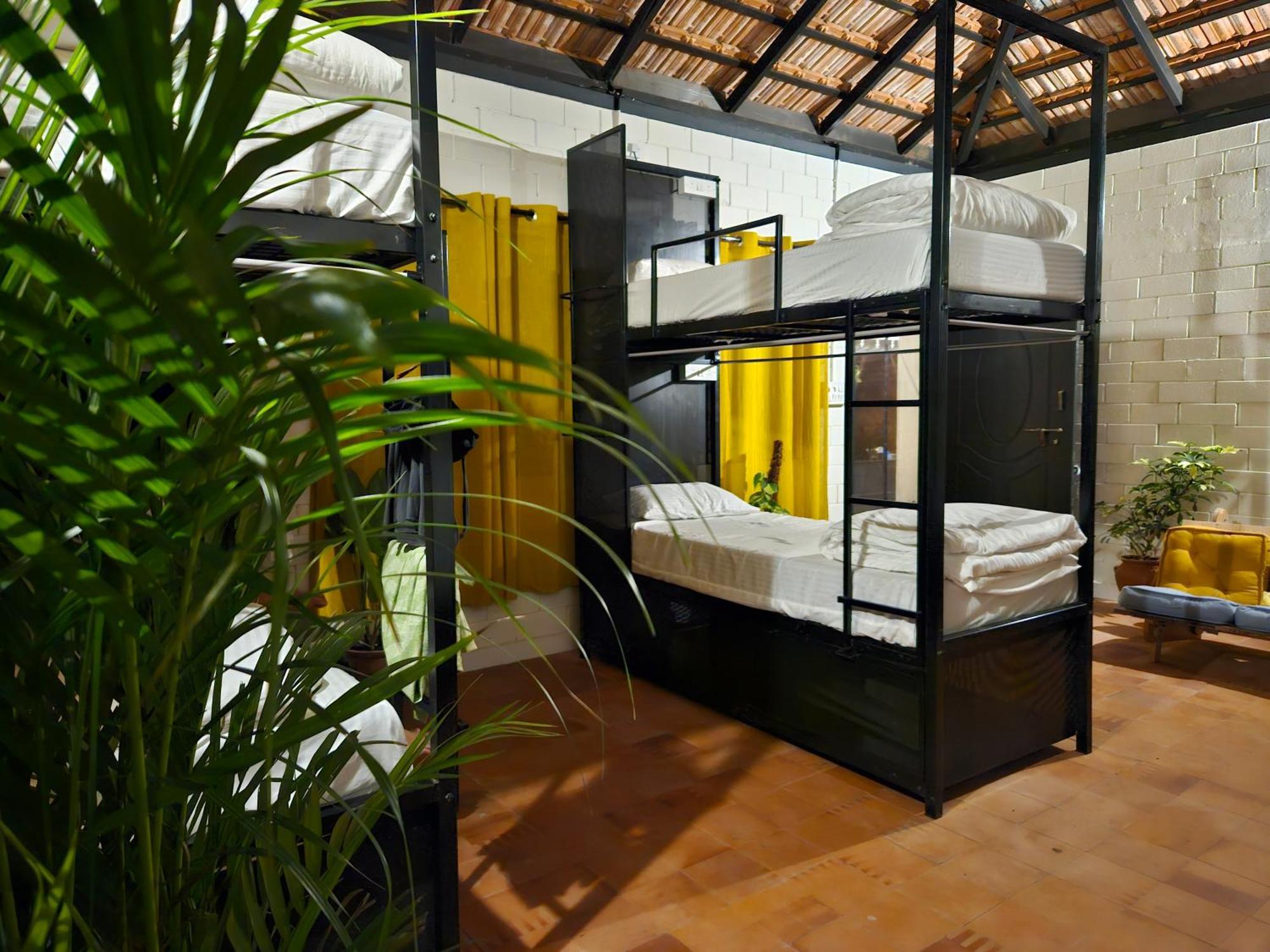 Benomadic Eco Hostel, Madikeri, Coorg Suntikoppa Kültér fotó
