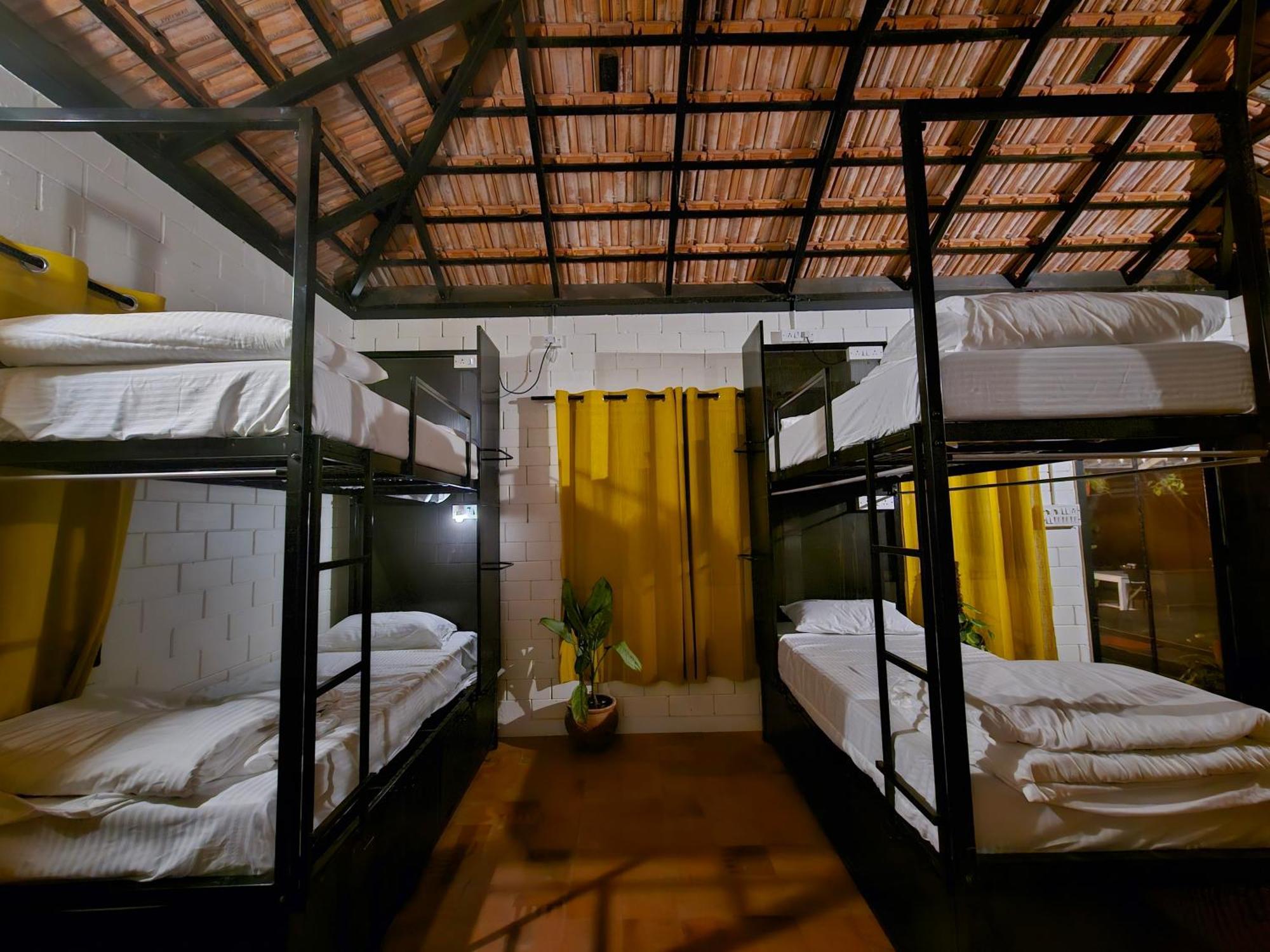 Benomadic Eco Hostel, Madikeri, Coorg Suntikoppa Kültér fotó