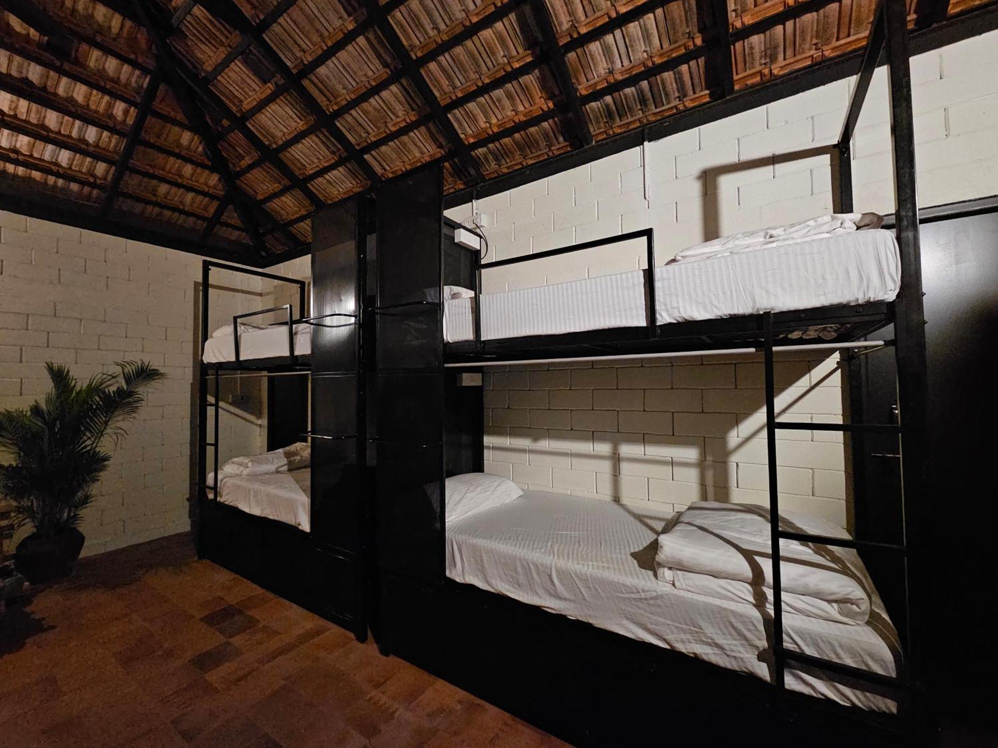 Benomadic Eco Hostel, Madikeri, Coorg Suntikoppa Kültér fotó